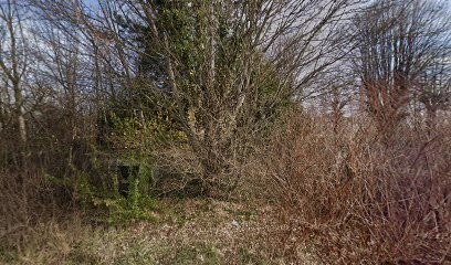 Coma, Laboratoire d'Analyses à Riom