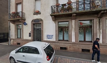 Centre De Dépistage Covid-19, Laboratoire d'Analyses à Lunéville