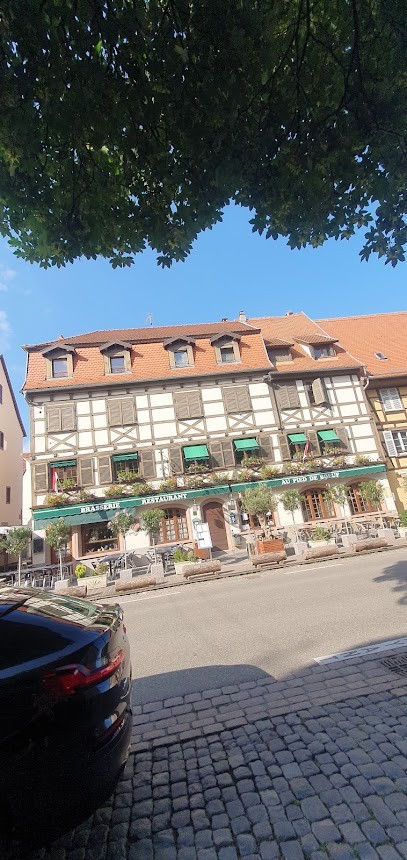 Centre De Dépistage Covid-19, Laboratoire d'Analyses à Sélestat