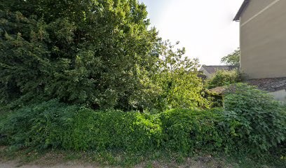 Centre De Dépistage Covid-19, Laboratoire d'Analyses à Tournus