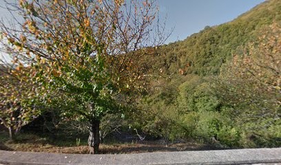 Rousseau Jean-Marie, Laboratoire d'Analyses à Castifao