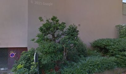 Centre De Dépistage Covid-19, Laboratoire d'Analyses à Quetigny