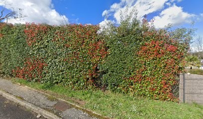 Centre de Vaccination Pédiatrique de Saint Didier au Mont d'Or, Laboratoire d'Analyses à Saint-Didier-au-Mont-d'Or