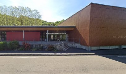 Centre De Vaccination Covid-19-Salle De L'Auzelou, Laboratoire d'Analyses à Tulle